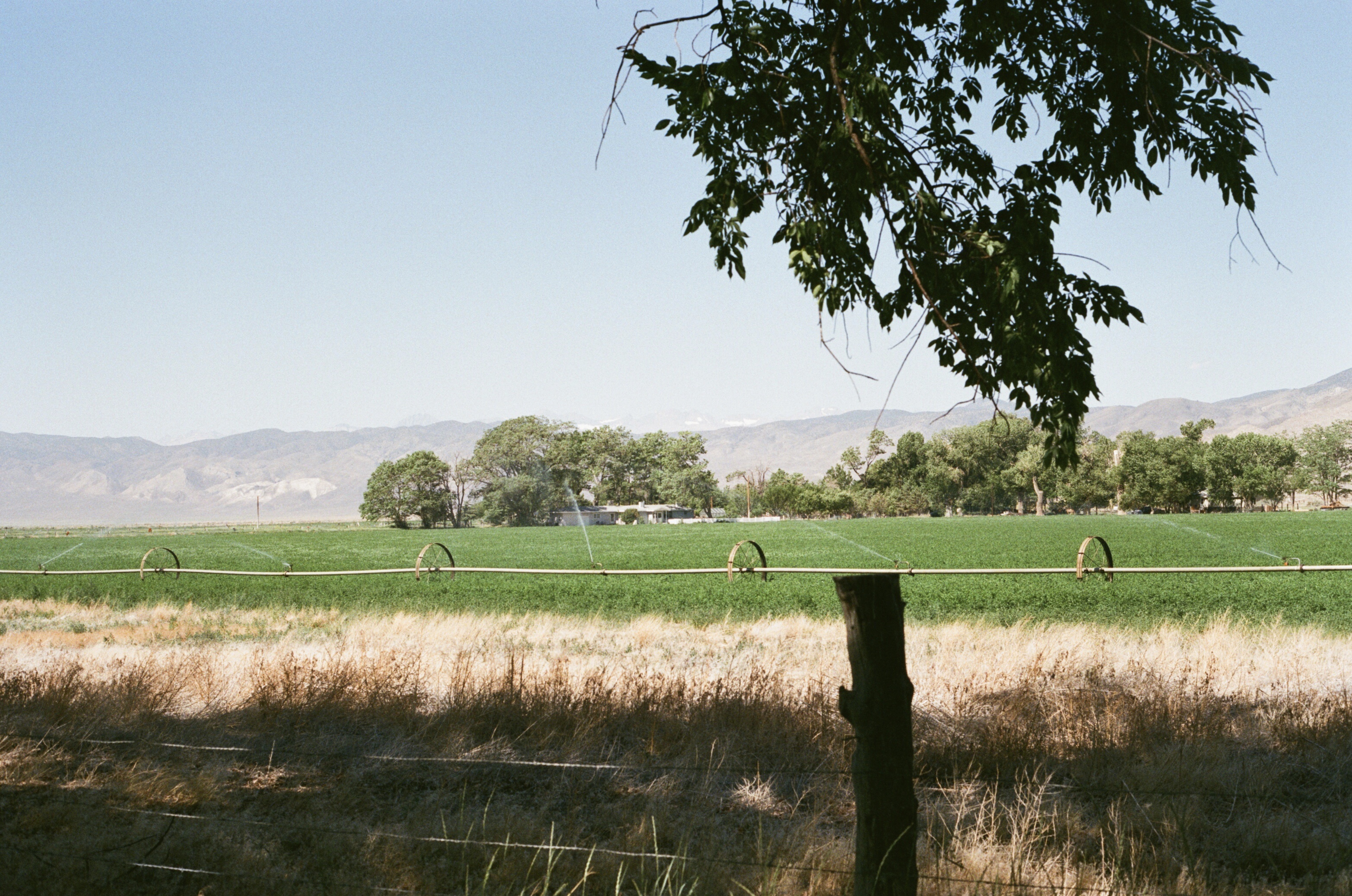 How Many Schools to Apply to?